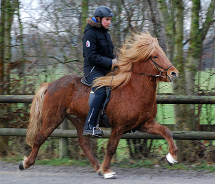 Bild zu Johannes Pantelmann