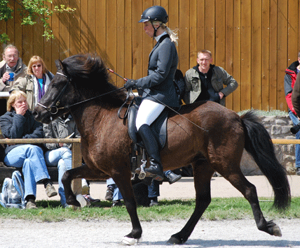 Bild zu Claudia Olgemöller